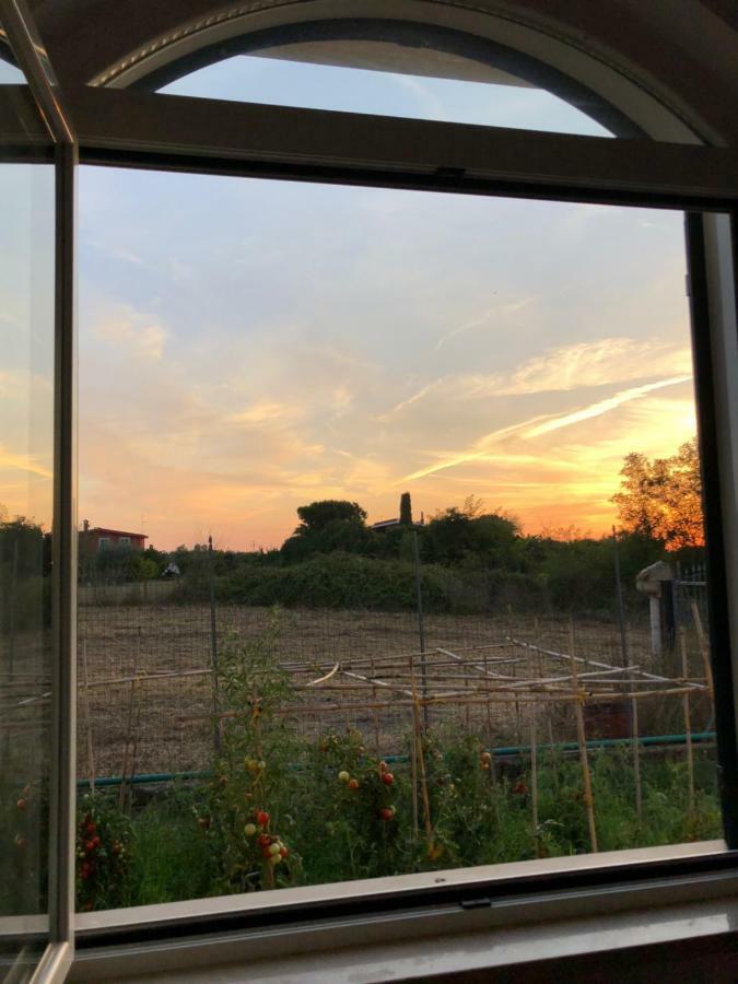 Agriturismo "Lo Zafferano" Aprilia Bagian luar foto