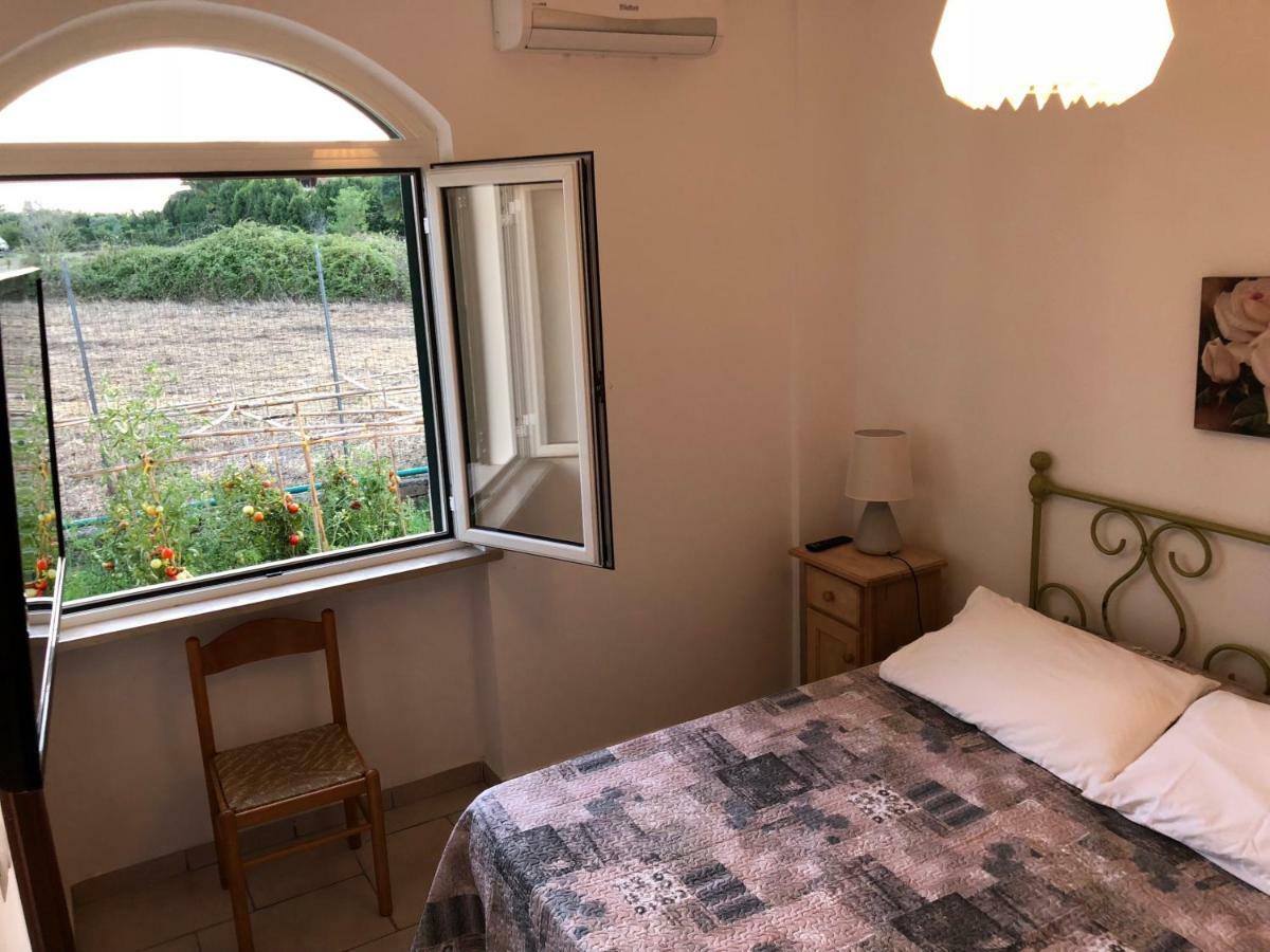 Agriturismo "Lo Zafferano" Aprilia Bagian luar foto